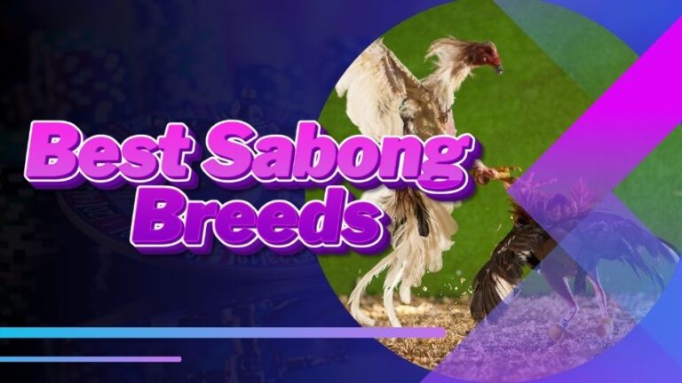 Best Sabong Breeds