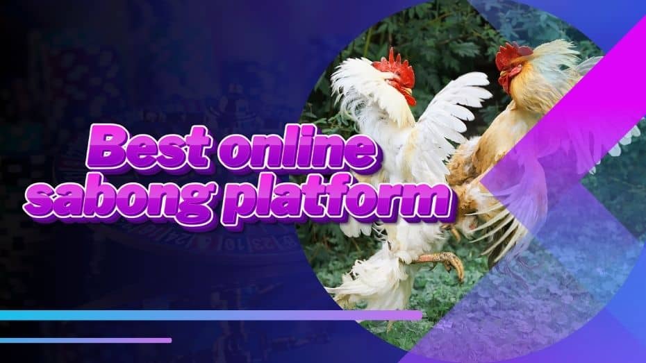 Best online sabong platform