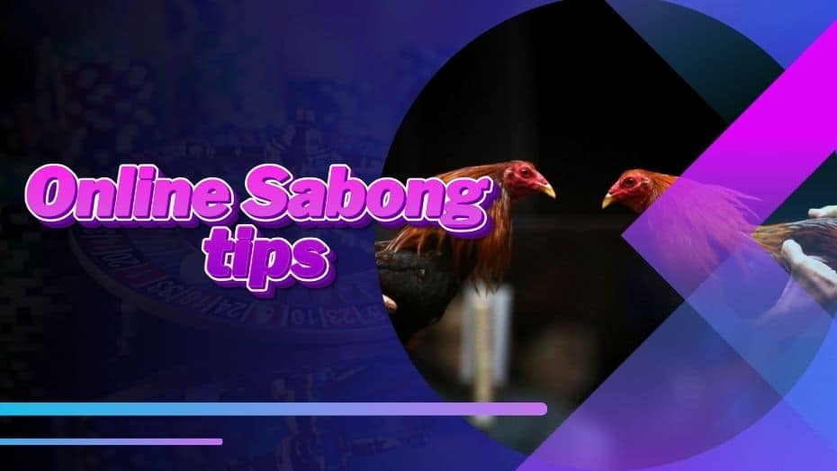 Online Sabong tips